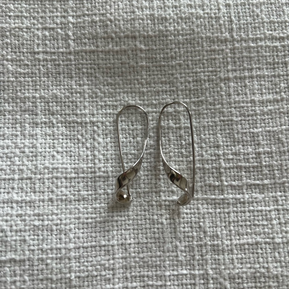 Elegant Silver Twist Earrings